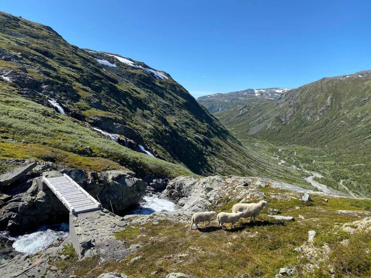 Torvis Hotell Marifjora Exteriör bild