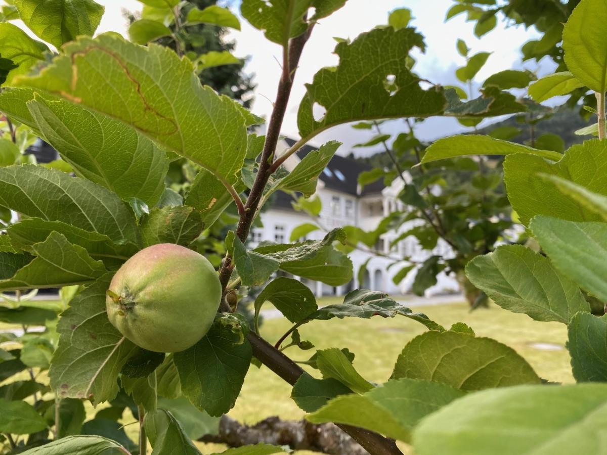 Torvis Hotell Marifjora Exteriör bild