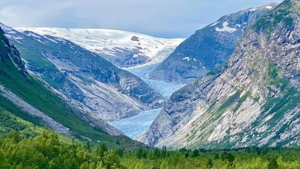 Torvis Hotell Marifjora Exteriör bild